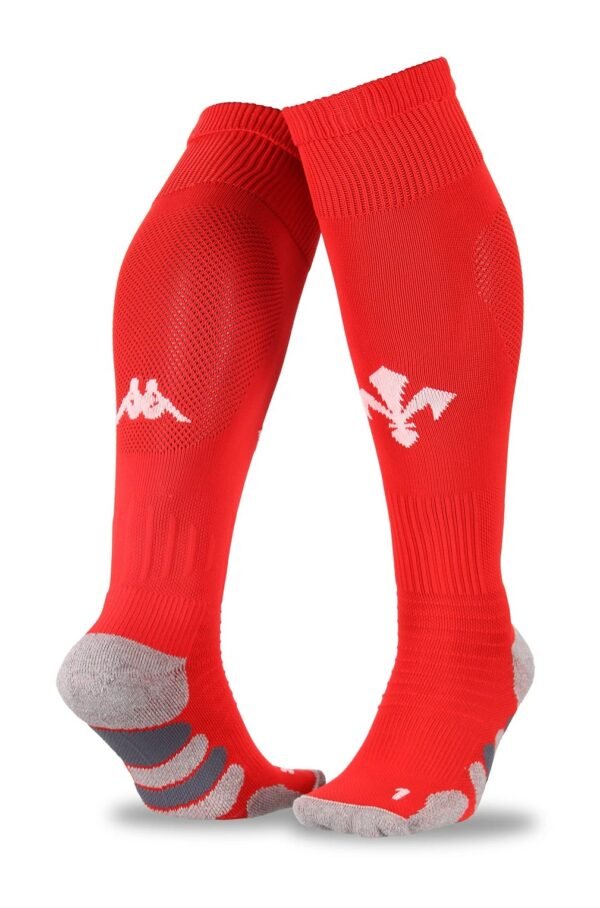 24-25 Fiorentina Third Socks