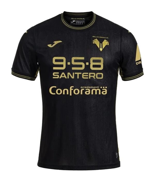 24-25 Verona Third Fan Version